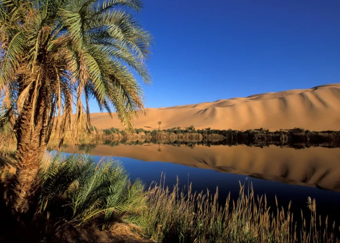 Vue aérienne ou panoramique de l'Oasis de Siwa, montrant de vastes palmeraies luxuriantes, des lacs salés et des habitations