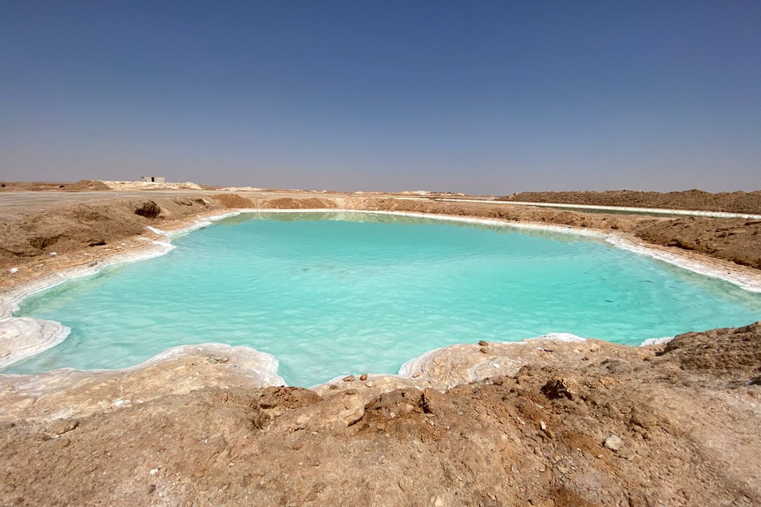 Ampia superficie di un lago salato color turchese nell'Oasi di Siwa, con sponde bianche di depositi di sale e il paesaggio desertico sullo sfondo