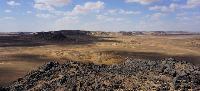 Desierto Negro: La Inmensidad del Paisaje Volcánico Rocas volcánicas negras que se extienden hasta donde alcanza la vista bajo un cielo despejado, creando un contraste llamativo en el Desierto Negro egipcio