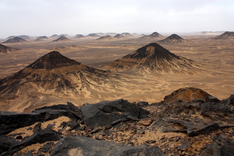 Desierto Negro: La Sombria Belleza de la Roca Volcánica Colinas y formaciones rocosas oscuras y cónicas, cubiertas de piedras volcánicas negras, que se extienden en el Desierto Negro de Egipto