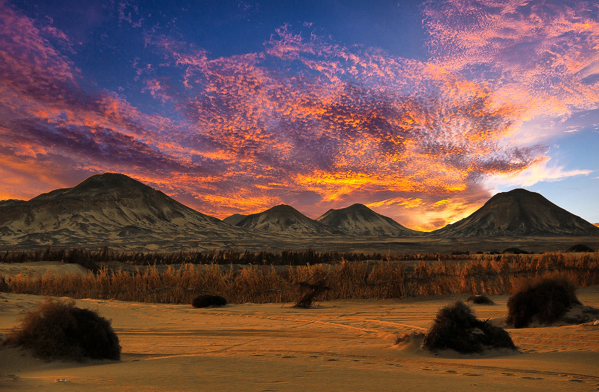 Veduta del Deserto Nero a Bahariya, con piccole montagne coniche ricoperte di roccia vulcanica scura che contrastano con la sabbia più chiara del deserto circostante