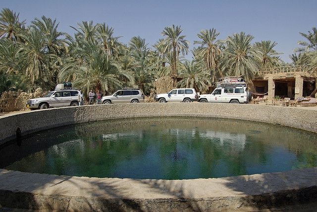 Siwa’s Natural Spa: The Allure of Cleopatra’s Pool The clear, inviting waters of Cleopatra's Pool surrounded by palm trees and lush greenery in Siwa Oasis