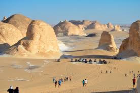Farafra Oasis