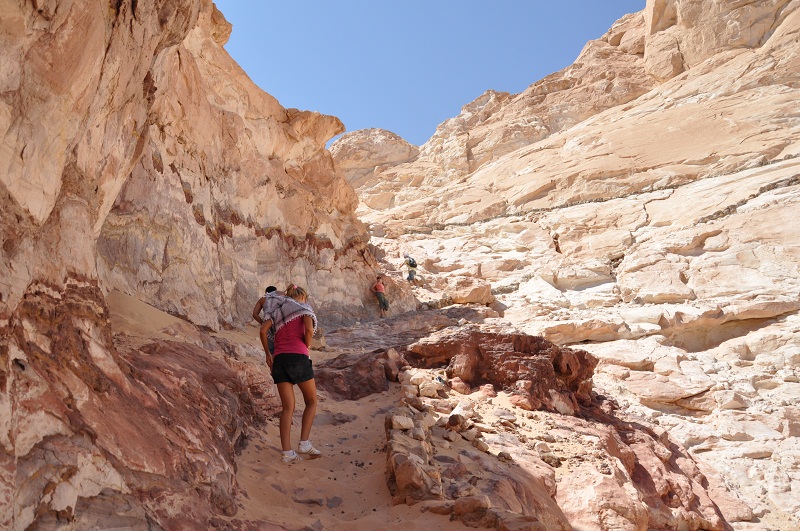 Les parois rocheuses du Canyon Coloré dans le Sinaï, affichant des strates de couleurs vives et des motifs naturels