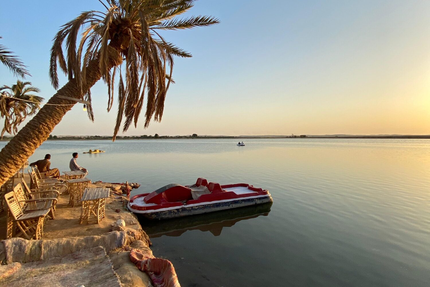 Siwa: Un Santuario de Vida en el Corazón del Sahara Egipcio Siwa : Un Écrin de Vie au Cœur du Sahara Égyptien