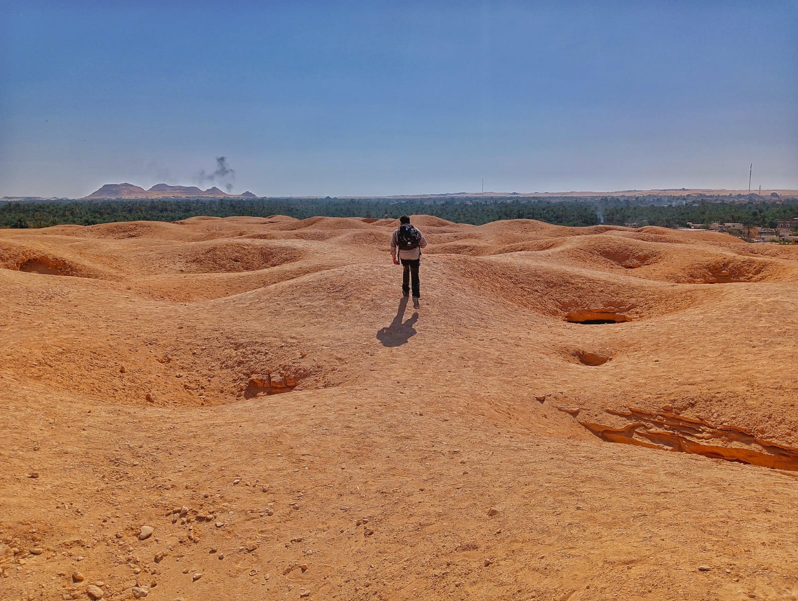 oasis de Siwa