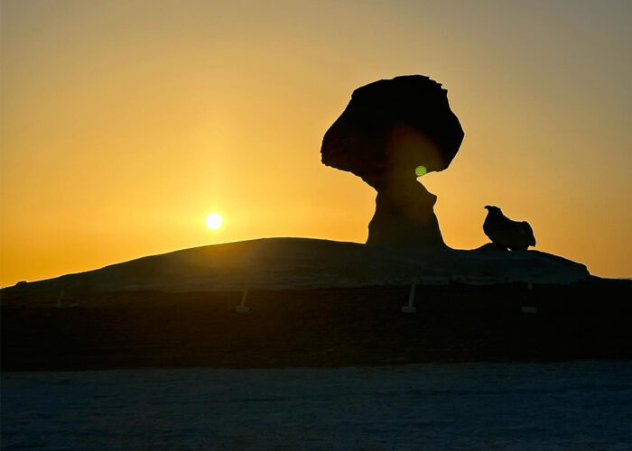 Silhuetas escuras de rochas cogumelo do Deserto Branco destacando-se contra um céu aceso por um dramático pôr do sol